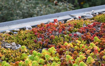 the cost of Fishers Pond green roof installation