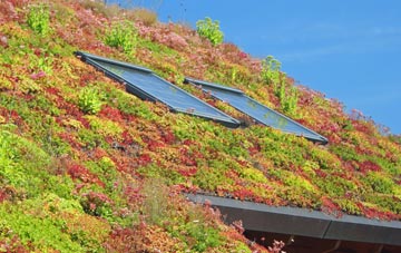 Fishers Pond living roof systems