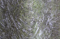 Fishers Pond fibreglass roof work